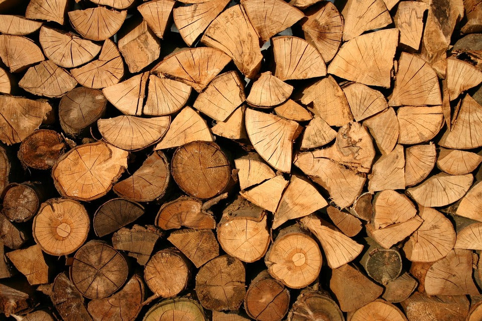 Les différentes essences de bois de chauffage