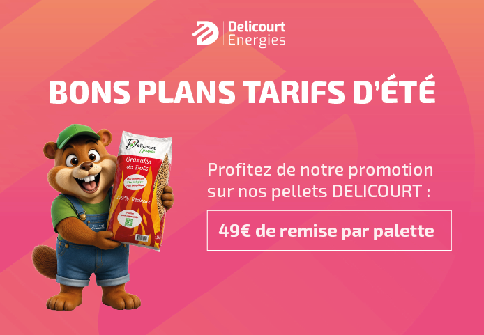 DELICOURT Energies
